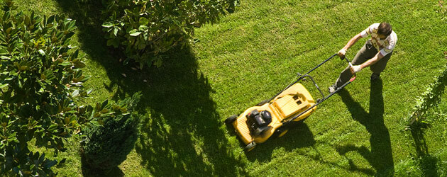 Bad Credit Financing Lawn Mower