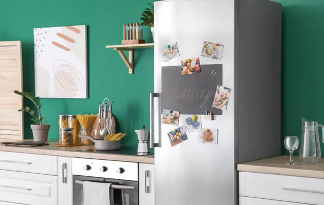 fridge-4