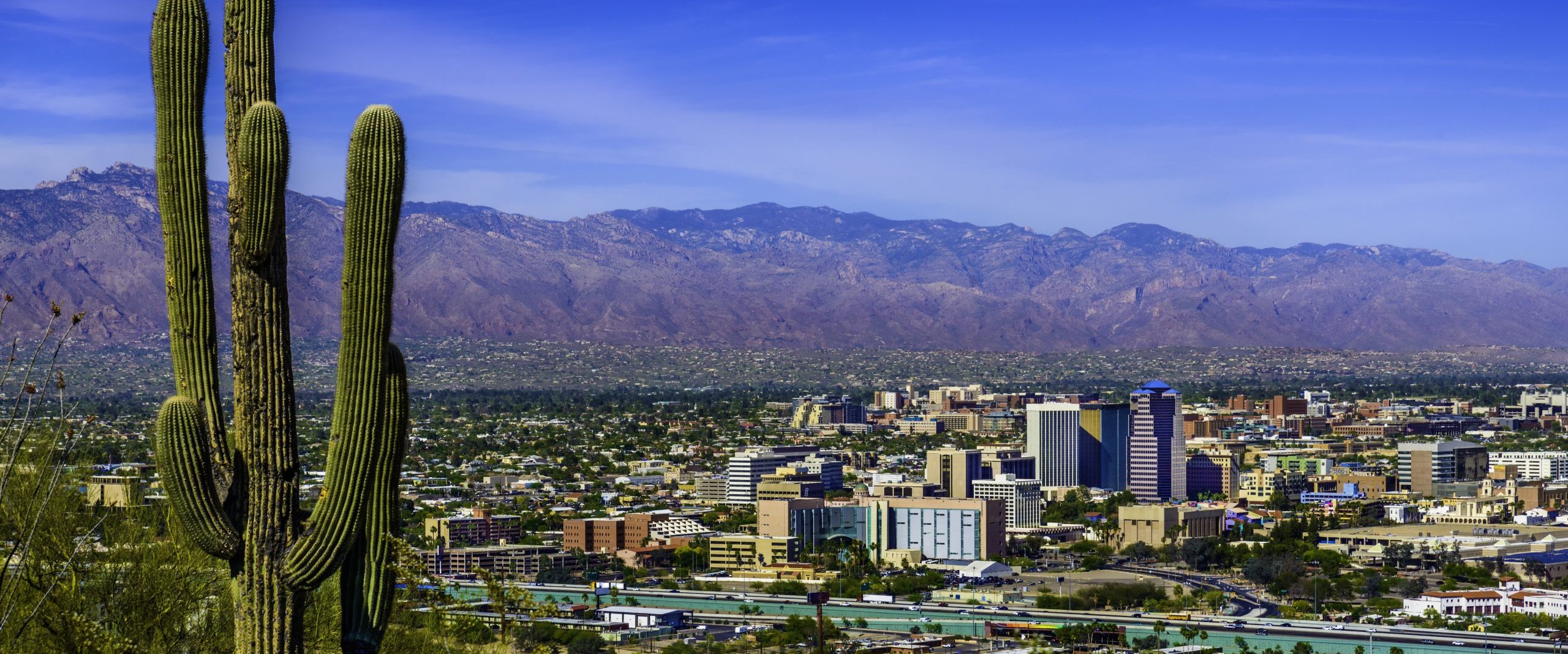 Tucson Arizona skyline cityscape panorama framed by saguaro cactus, mountains