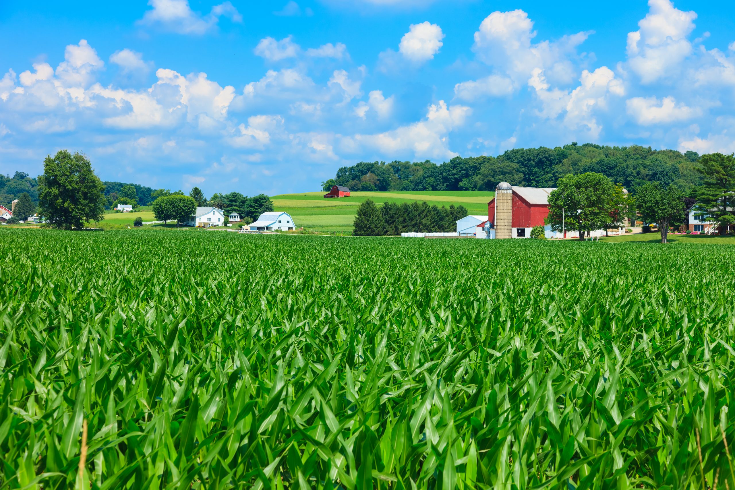 ohio farm hero watermark