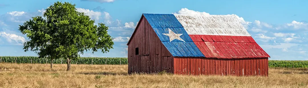Bad Credit Personal Loans in Texas