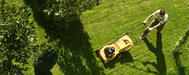Bad Credit Financing Lawn Mower